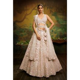 Lehenga for wedding reception with price sales