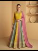 Multicolor Embroidered Anarkali Gown Dress