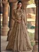 Fawn Partywear Designer Lehenga