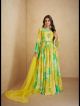 Yellow & Green Stylish Gown