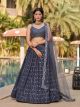 Grey Georgette Sequins Lehenga