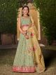 Pista Georgette Sequins Lehenga