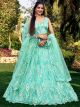 Blue Heavy Sequined Lehenga Choli