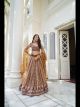 Brown Butterfly Net Lehenga