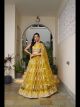 Mustard Butterfly Net Party Wear Lehenga