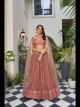 Rust Butterfly Net Party Wear Lehenga