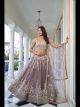 Dusty Brown Butterfly Net Party Wear Lehenga