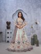 Sky blue Stunning sky blue Lehenga