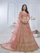 Onion Pastel Onion Embroidered Bridal lehenga