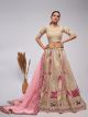 Ivory Organza Silk Intricate Paisley Motifs Traditional Embroidered Wedding Lehenga