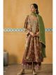 Brown Pure Velvet with Digital Print with Embroidery Suit