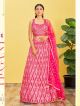 Pink Organza Partywear Lehenga