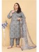 Grey Plus Size Pant Style Suit