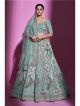 Firozi Soft Net Wedding Lehenga