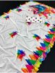Digital printed Holi Hai Saree